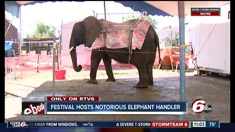 Festival hosts notorious elephant handler, attendees concerned about animal