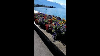 Walking in Switzerland near the lake of geneva