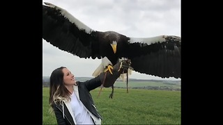 Look At The Size Of This Eagle