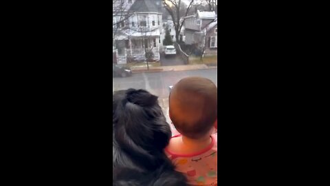 #Shortvideo This Dog And Son Have A Morning Routine ♥️