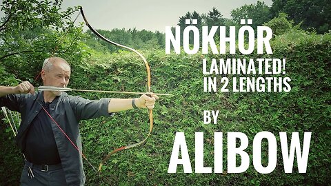Nökhör laminated in 2 sizes by Alibow - Review
