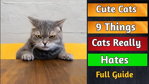 9 Things Cats Really Hate 😡