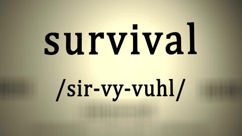 Crisis:: Time to Plan, Prep, Pray for Survival