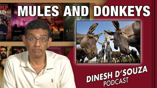 MULES AND DONKEYS Dinesh D’Souza Podcast Ep324