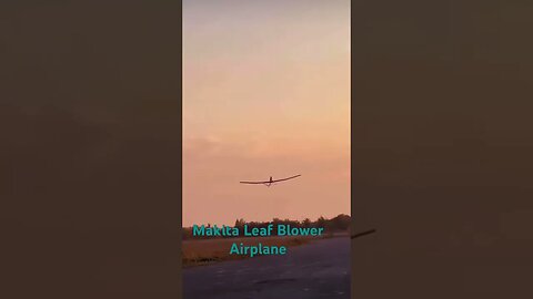 #viral #shortvideo #shorts #short #makita #leafblower #plane #home #tool