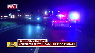 Tampa PD investigating deadly hit-and-run