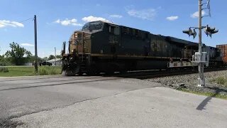 CSX Intermodal Train from Bascom, Ohio August 31, 2020