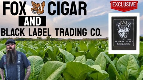 Black Label Trading Company Araposa Negra | Cigar Prop 2021