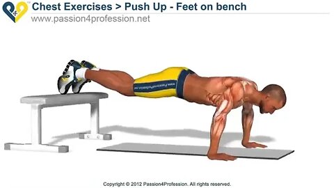 A Day in the Life of Bench Press Up perfect push up exercise feet on bench