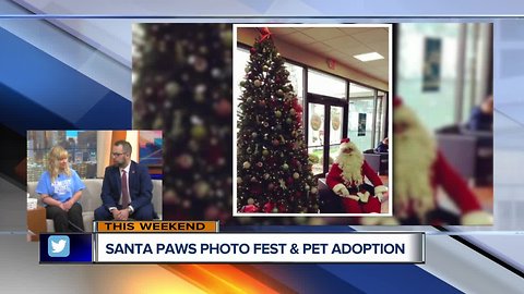 Almost Home and LaFontaine Subaru host Santa Paws Adoption Event