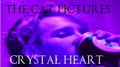 The Cat Pictures - Crystal Heart