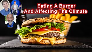 How Does Eating A Burger Affect Natural Resources And The Climate?