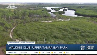 Walking Club: Exploring Upper Tampa Bay Park