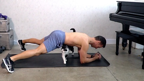 Cats repeatedly interrupting owner's exercise routine