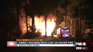 Two dogs killed in house fire