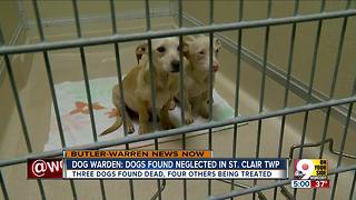 3 dogs dead, 4 malnourished lead to charges for Butler County woman