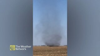 Dust devil tears across open field in Manitoba
