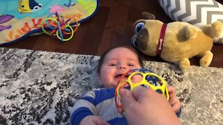 Baby can't stop laughing in amazement at new toy ball