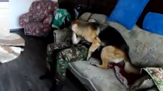 Dog meets a friend who returns from the army. There passed 2 years!
