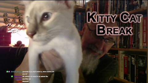 Kitty Cat Break