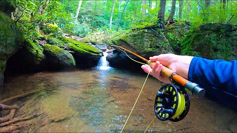FISHING BROOK TROUT PARADISE!! (Wilderness Creek Fishing)