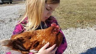 Elle chante une berceuse à une poule