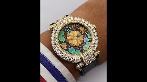 Presentation of Multiple Luxury Watch