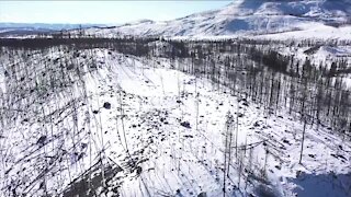 Colorado wildfires: Poor forest management and more homes leading to catastrophic dilemma