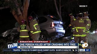 One person killed after collision into tree in Mission Bay