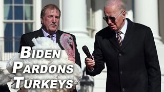 Biden Pardons National Thanksgiving Turkeys