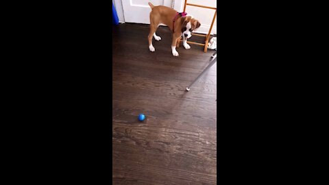 Penny, What's up with that ball?