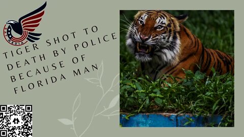 Police had to kill critically endangered tiger