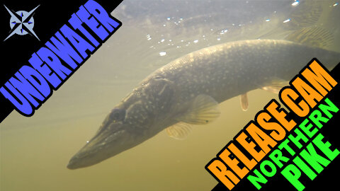 Underwater Slow Motion Northern Pike Release with GoPro Hero 7 While Kayak Pike & Bass Fishing