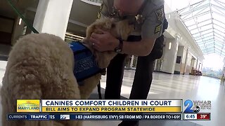 Program allowing canines to comfort children in court may expand statewide