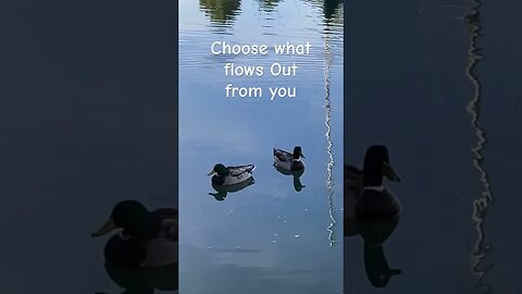 Create Good Vibes; Choose What Flows From U #peaceful #inspiration #visualmeditation #synchronicity