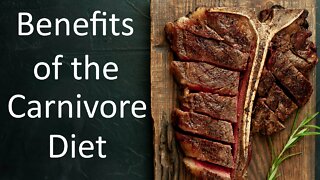 Benefits of the Carnivore Diet