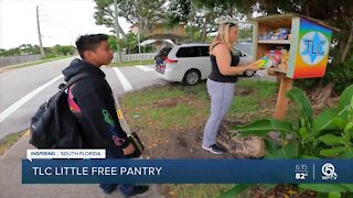 Boca Raton woman creates free neighborhood food pantries