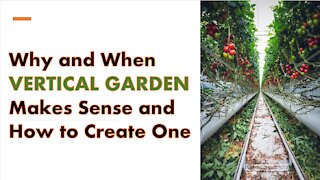 WHY & WHEN Vertical Garden Makes Sense and How to Create One