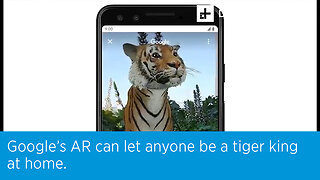 Google’s AR can let anyone be a tiger king at home.