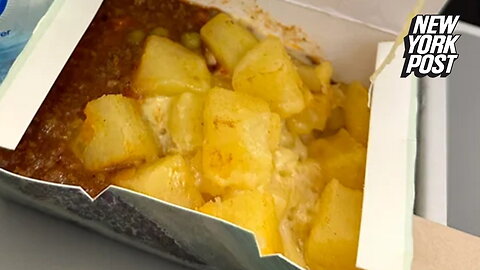 'It's a box of sludge' cry passengers after traveler slams plane meal served during flight