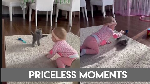 Baby and cat both are playing with each other