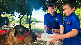 Okeechobee County offers agriculture program to elementary students