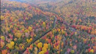 As cores vibrantes da folhagem de outono no Canadá