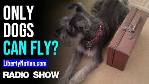 Only Dogs Can Fly? - LN Radio Videocast