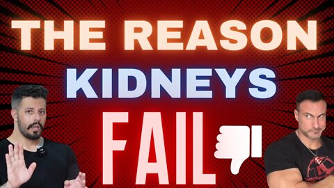 The Reason Kidneys Fail So Quickly | @Leo and Longevity