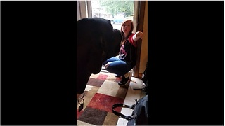 Great Dane Argues With Teenager About Playtime