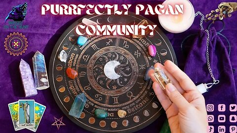 PURRFECTLY PAGAN COMMUNITY AND MORE! WITH GRIZZLY ON THE HUNT!
