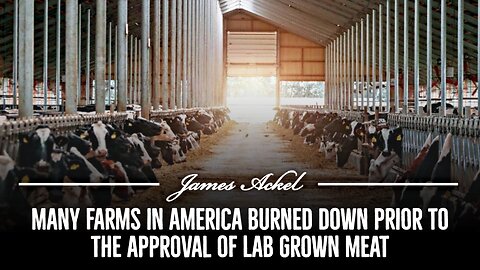Many farms in America burned down prior to the approval of lab grown meat 🥩