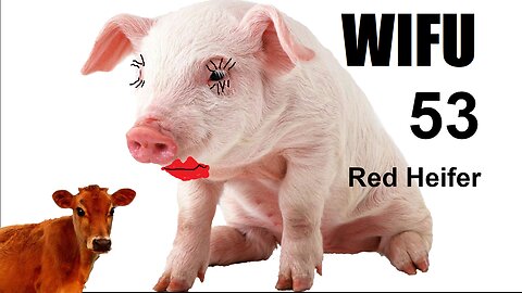 The Wifu Show 053 -- Red Heifer