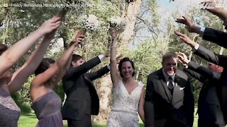 L'albero quasi li uccide durante il matrimonio